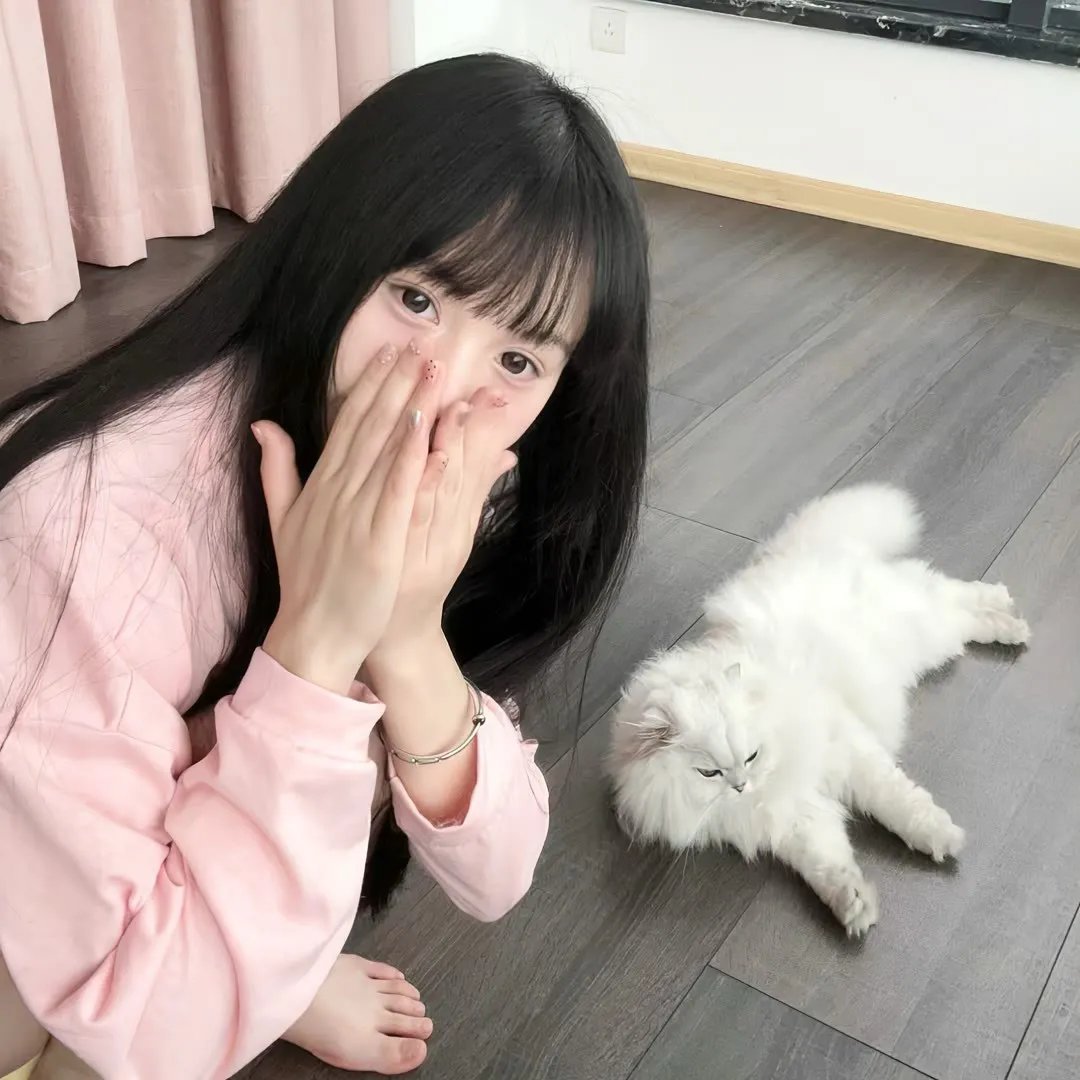 他来自程氏集团